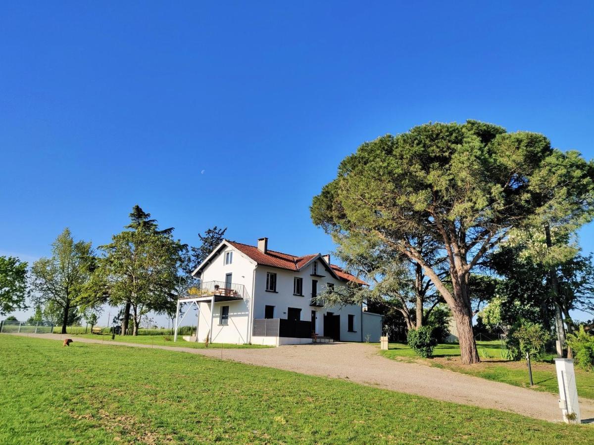 Le Cottage Duo Vigne Rouge Sauna Gaillac Entre Albi-Toulouse & Les Cottages Du Tarn Brens  Экстерьер фото